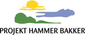 Projekt-Hammer-Bakker0001